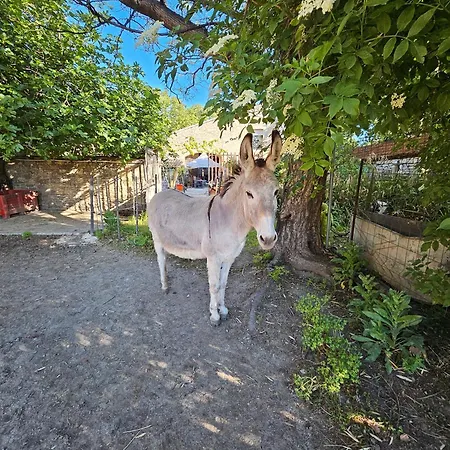 Le Clos Des Aramons 3* Bernis